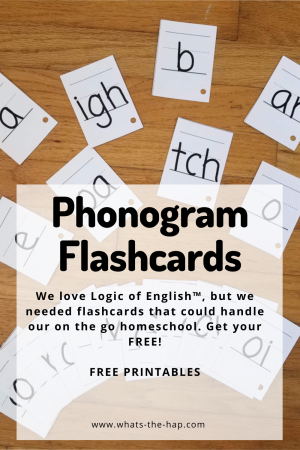 Phonogram Flashcards